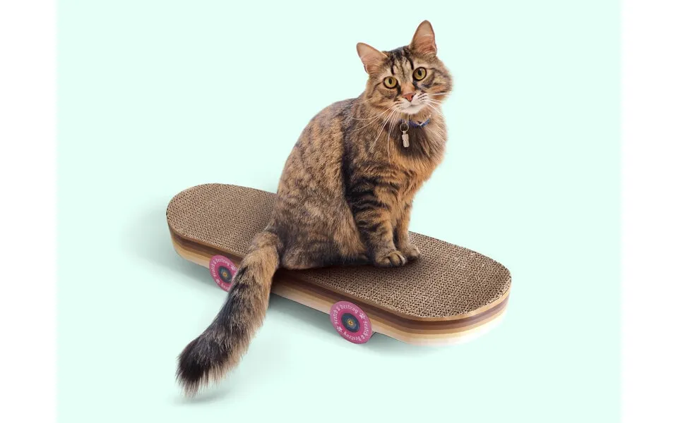 Skateboard scratching post to cat
