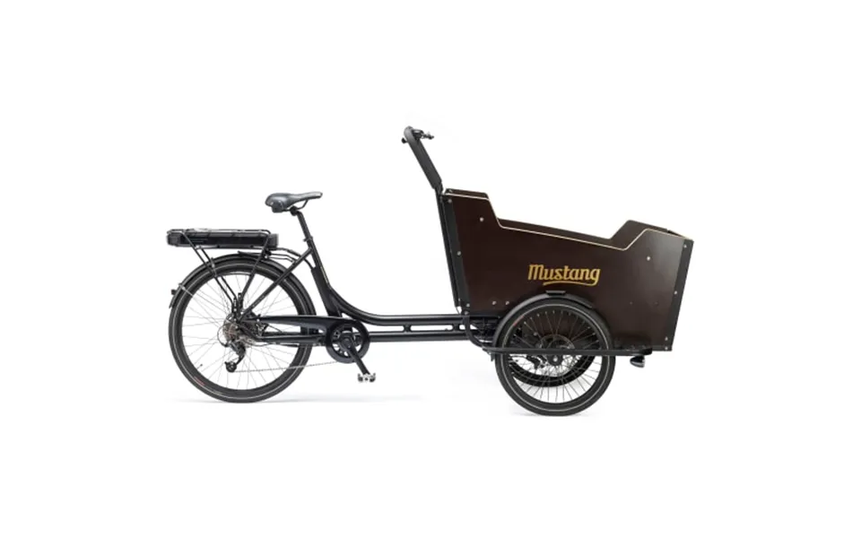 Mustang cargo electric 26 electric cargo bike with 9 gear - black