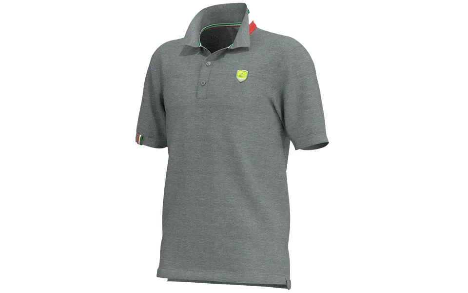 Ale polo t-shirt but - gray