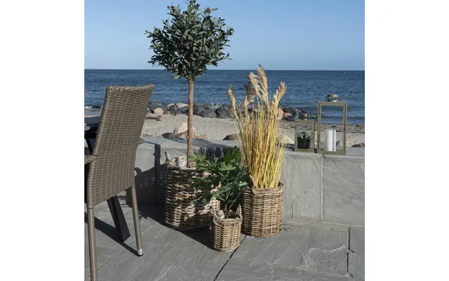 Bromo - Kurvesæt I Rattan, Tre Kurve