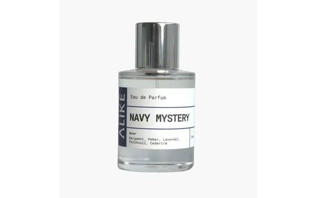 Navy Mystery