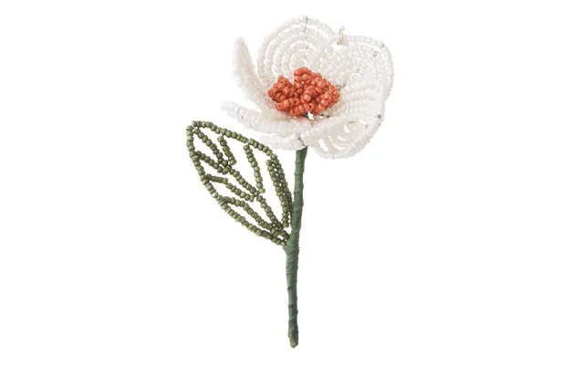 Pinse Lilje Perleblomst - Hvid Grøn