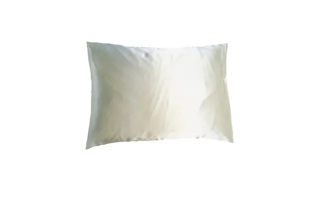 Soft Cloud Mulberry Silk Pillowcase Champagne 50x60 Cm. U