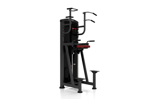 Assisteret Pull Up Dip Station Skaffevare