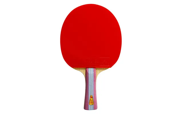 Double Fish 1a Bordtennisbat