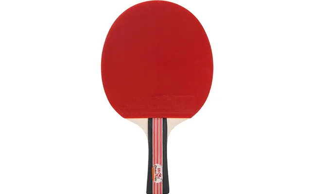 Double Fish 2d-c 3* Bordtennisbat