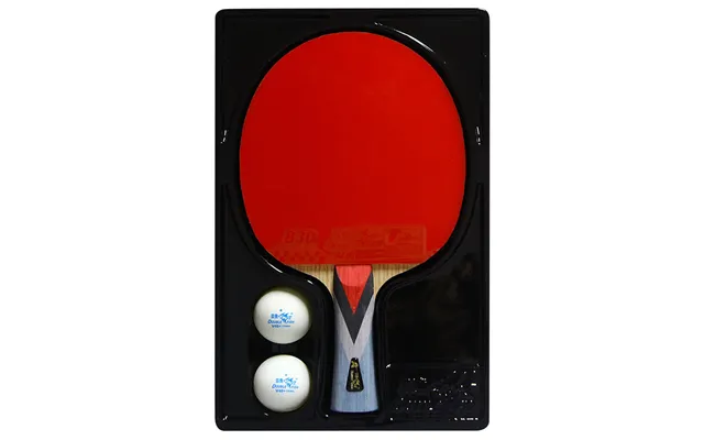 Double Fish 4a Bordtennisbat