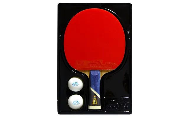 Double Fish 5a Bordtennisbat