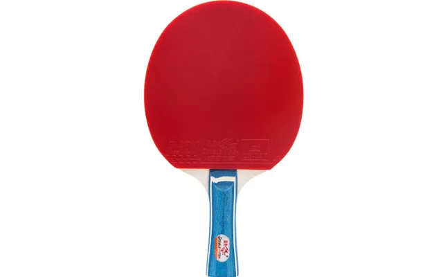 Double Fish Df-02 Bordtennisbat