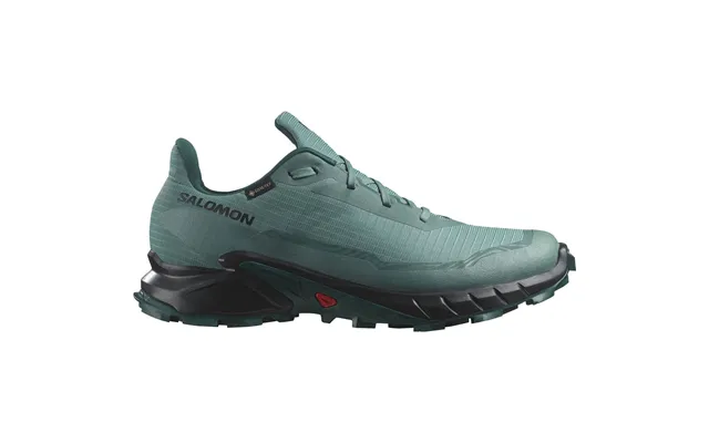 Salomon Alphacross 5 Gore-tex Herresko