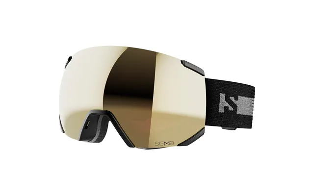 Salomon Radium Sigma Skibriller