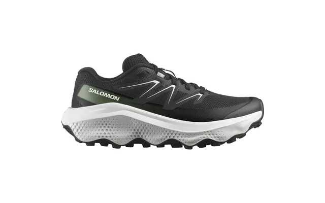 Salomon Ultra Flow 2 Løbesko Dame