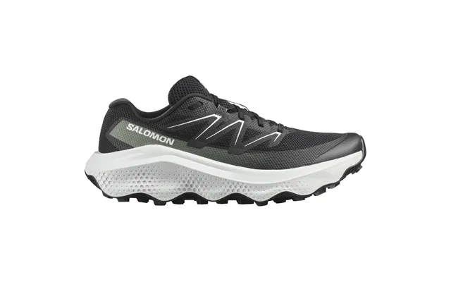 Salomon Ultra Flow 2 Løbesko Herre