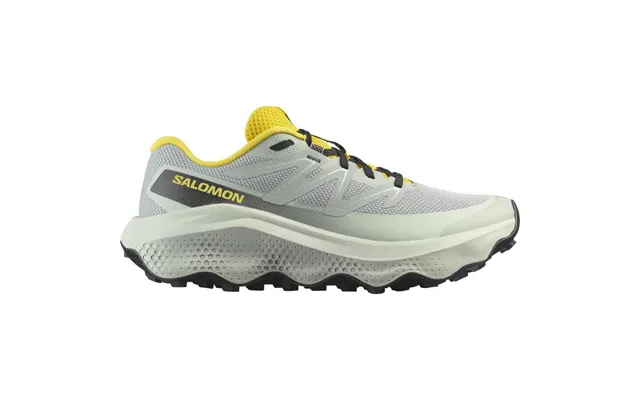 Salomon Ultra Flow 2 Løbesko Herre