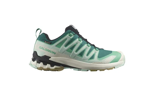 Salomon Xa Pro 3d V9 Gore-tex Damesko
