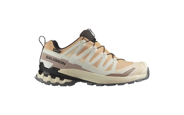 Salomon Xa Pro 3d V9 Gore-tex Damesko