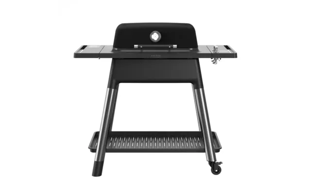Gas Grill E2g2b Force