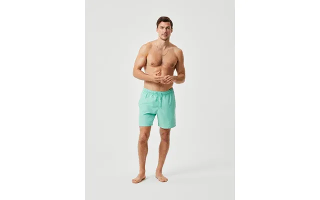 Björn Borg Borg Swim Shorts Grøn - S product image