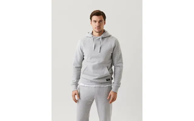 Björn Borg Centre Hoodie Grå - S