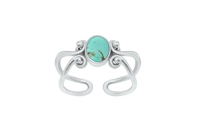 Tåring Med Turkis