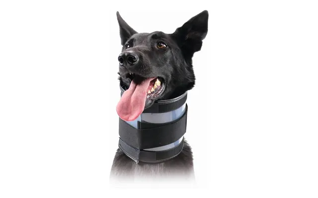 Cervikal Krave Til Hunde Kvp Sort 13-48 Cm