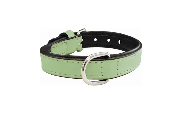 Hundehalsbånd Gloria Med Puder Grøn 30 X 1,5 Cm