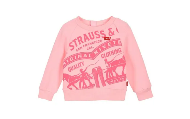 Levi's Raglan Sweatshirt Til Piger - Pink, 18 Mdr
