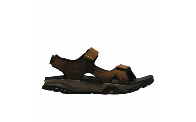 Mountain Sandaler Timberland Winsor Trail Brun 40