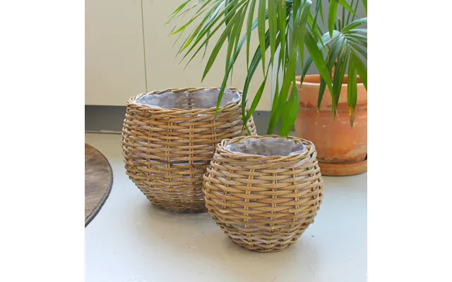 Curve To Plants - Drop Form product image