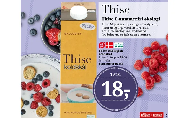 Thise Økologisk Koldskål product image