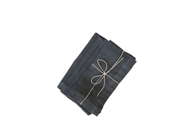 Fabric Napkin In Linen Set Of 4 - Sort product image