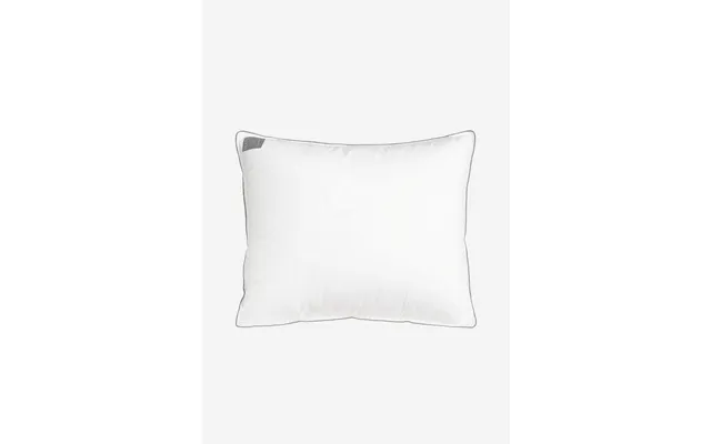 Lav Hotelpude 50x60 Cm