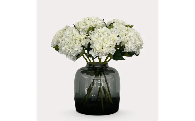 Hortensia Blomst - X 8