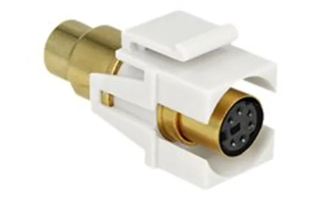 Delock Keystone Module