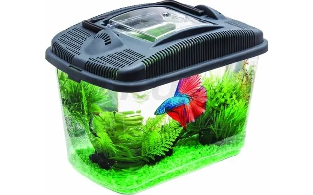 Axentia Aquarium Betta Kit - Til Militia 3l