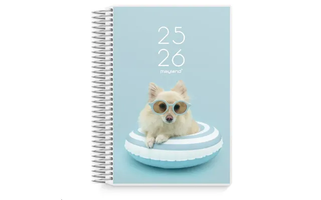 Dagkalender Studie Stor 2i1 Med Klap 2025 2026