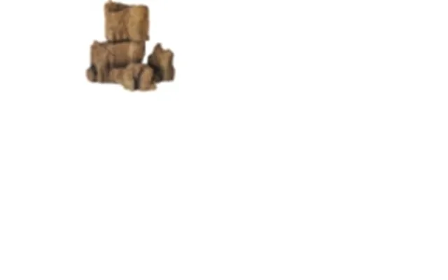 Dohse Fossil Rock 3,19x10x17 Cm
