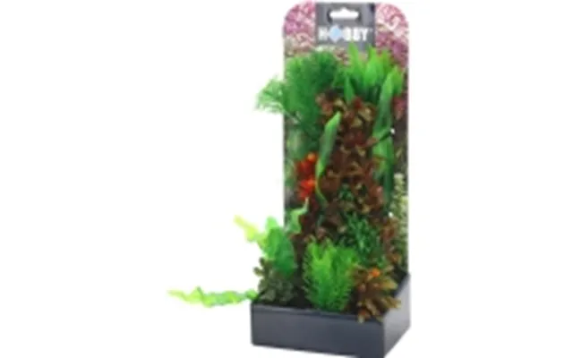 Dohse Plantasy Set 6