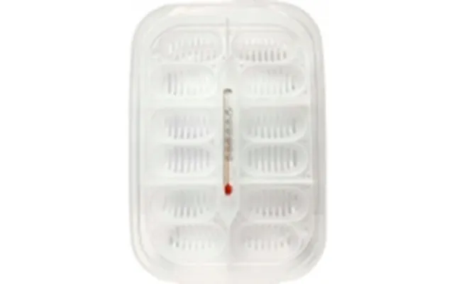 Exo Terra Inkubationsboks - 16,5 X 11 X 5 Cm