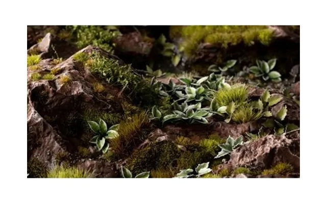 Gamers Grass Gamers Grass Laser Plants - Plantain Lily
