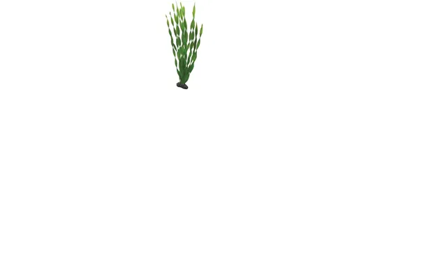 Hobby Vallisneria 46cm 46cm