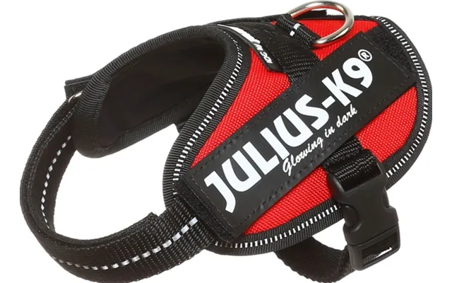 Julius-k9 K9 Idc Sele - Str. Baby 2
