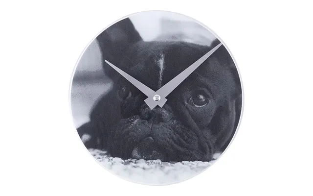 Nextime Little Dog - Ur