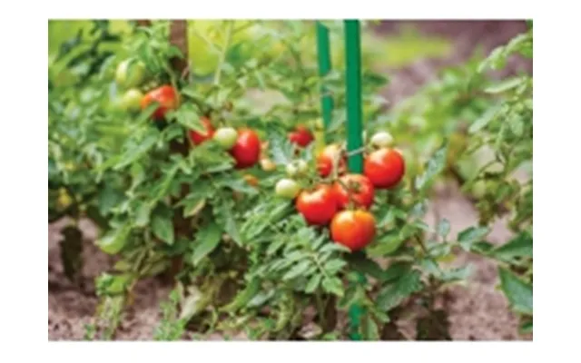 Steel Garden Bar 11mm X100cm 10pcs.