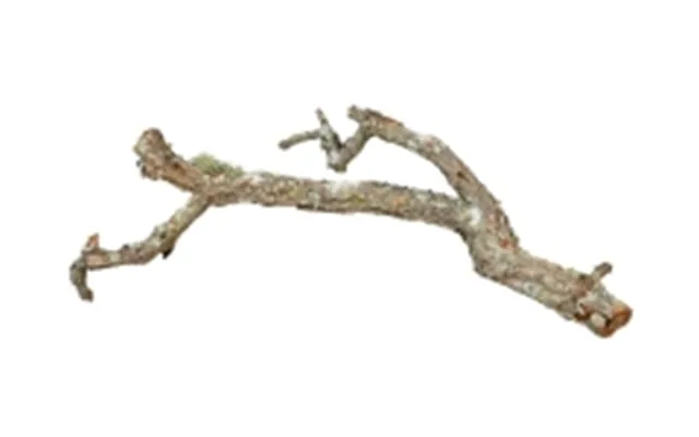 Trixie Tronchos - Mixed Cork-branches