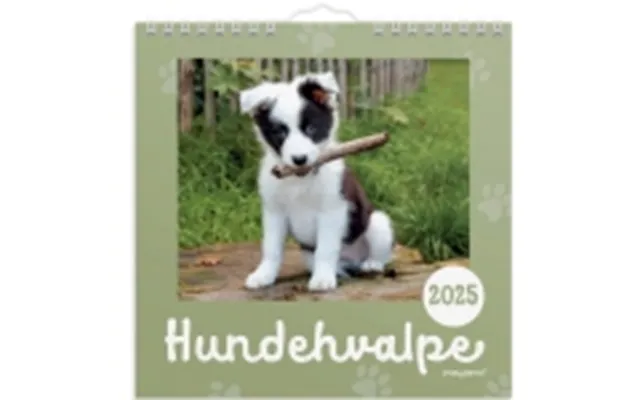 Vægkalender Mini Hundehvalpe 2025
