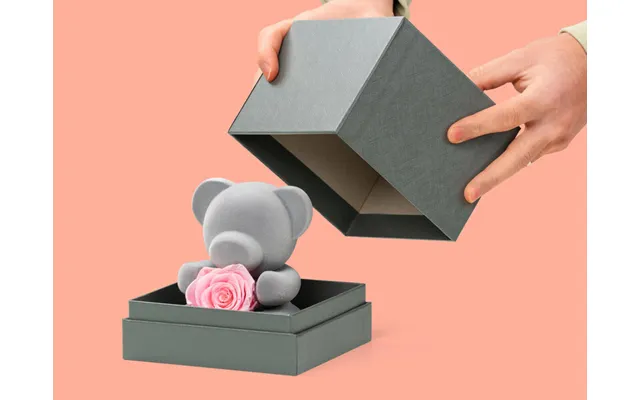 Bamse Med Evighedsrose