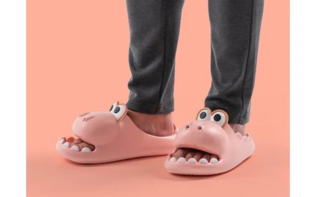 Dino Slippers