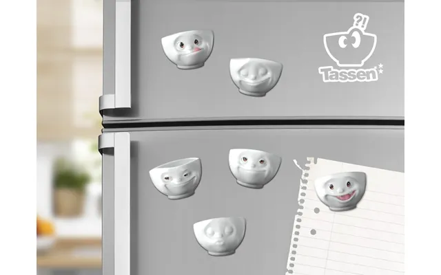Humør-køleskabsmagneter 6-pack - Tassen