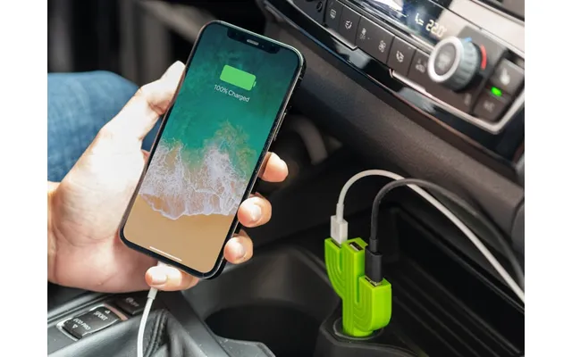 Kaktus Usb-oplader Til Bil